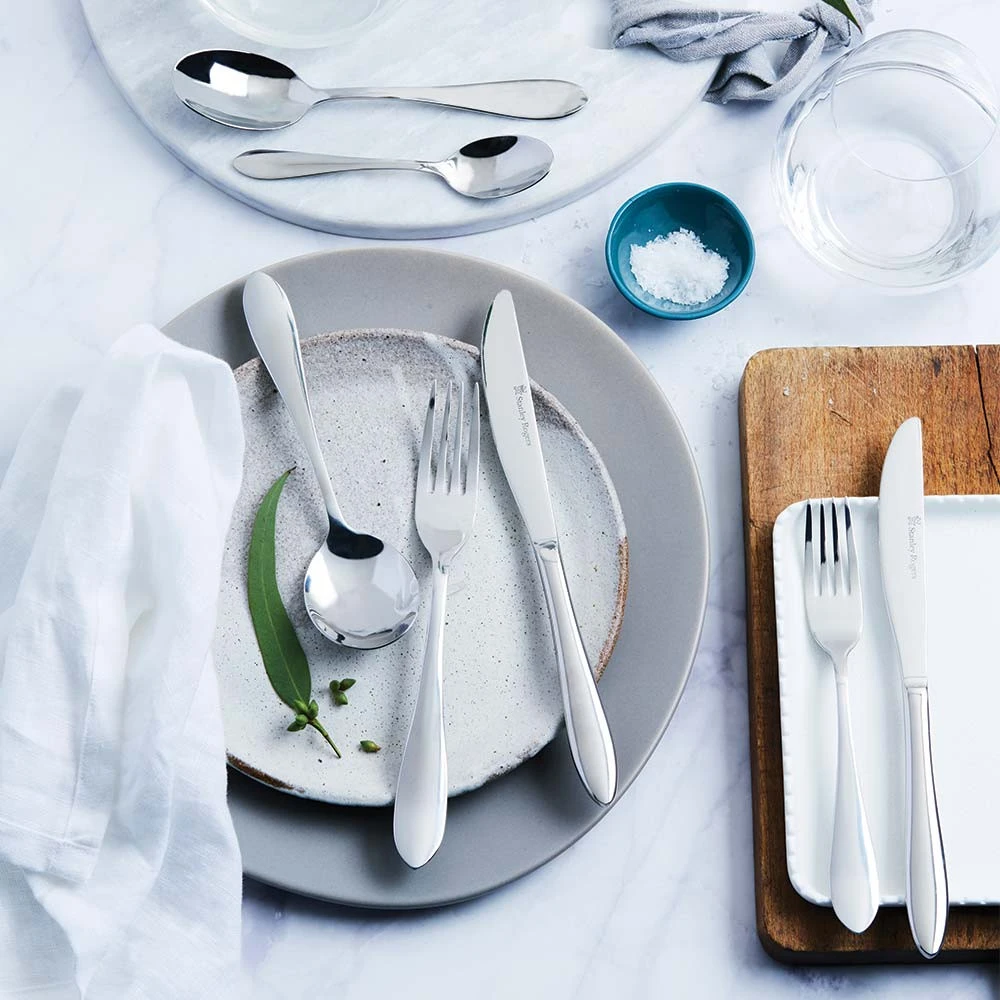 Stanley Rogers Shop -Stanley Rogers Shop stanley rogers noah 4pc setting1.1651306639